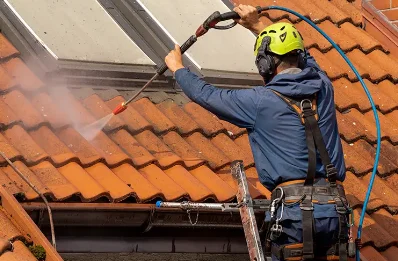 Démoussage et hydrofuge de toiture à Mouilleron